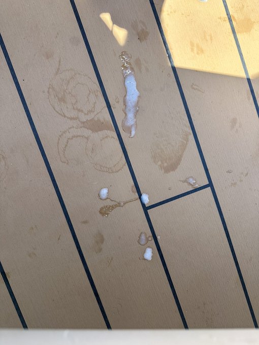 Watch TylerGentryxxx (Southern Decadence 28 Aug - 1 Sep)'s leaked NSFW photo on TwXstars