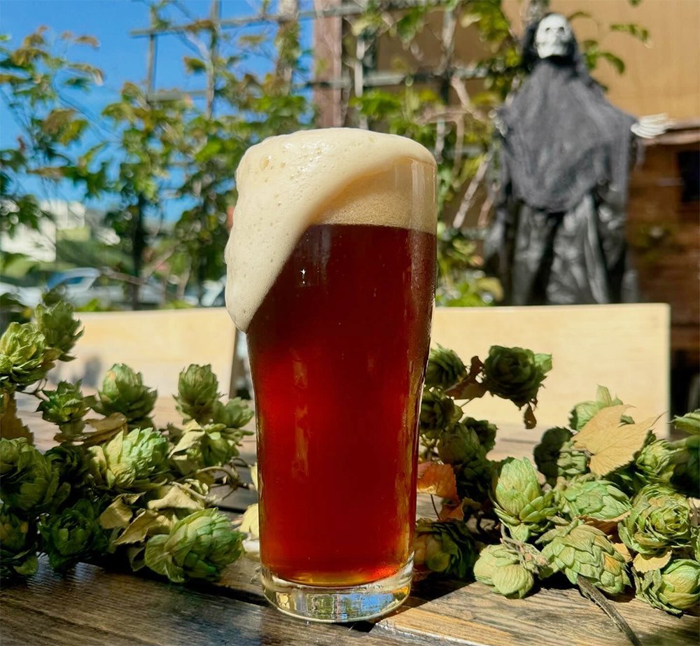 SDBeerNews's tweet image. Here&apos;s a #Halloween &quot;treat&quot;: a new WHAT&apos;S TAPPING list of beers debuting at #SanDiego breweries. This edition covers the 1st half of #SDBeerWeek, incl. beers from @ResidentBrewing &amp;amp; @TapRoom #Beer Co. + lots more! | bit.ly/sdbn241031

#sdbeernews #sdbeer #craftbeer #cheers