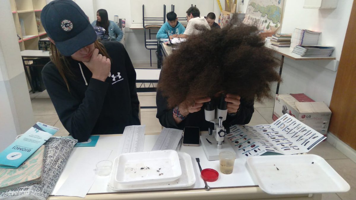 biomci's tweet photo. 📣@biomci presente en el biomonitoreo del arroyo Cull Rani en San Martin de los Andes, Neuquén.
💧 Estudiantes y docentes del #EPET21 junto profesionales de la #DGByS participaron del monitoreo ciudadano de la calidad ecológica del agua reconociendo #macroinvertebrados 🦀🐚🪱🪲 https://t.co/BDi8pJThPj