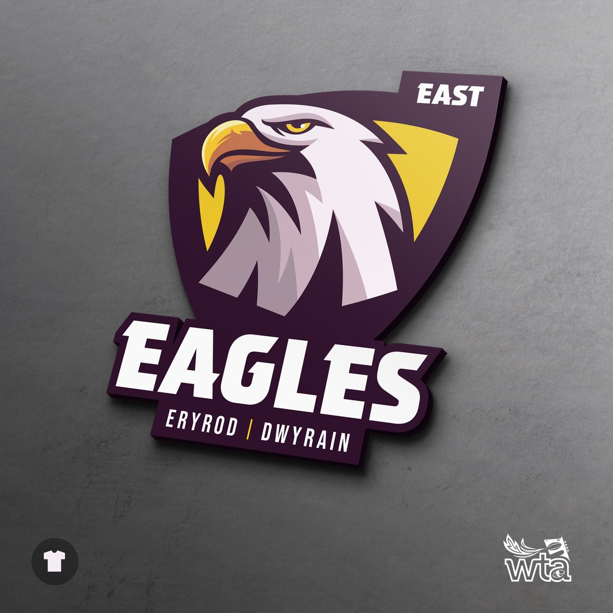 Wales Touch Association tweet media