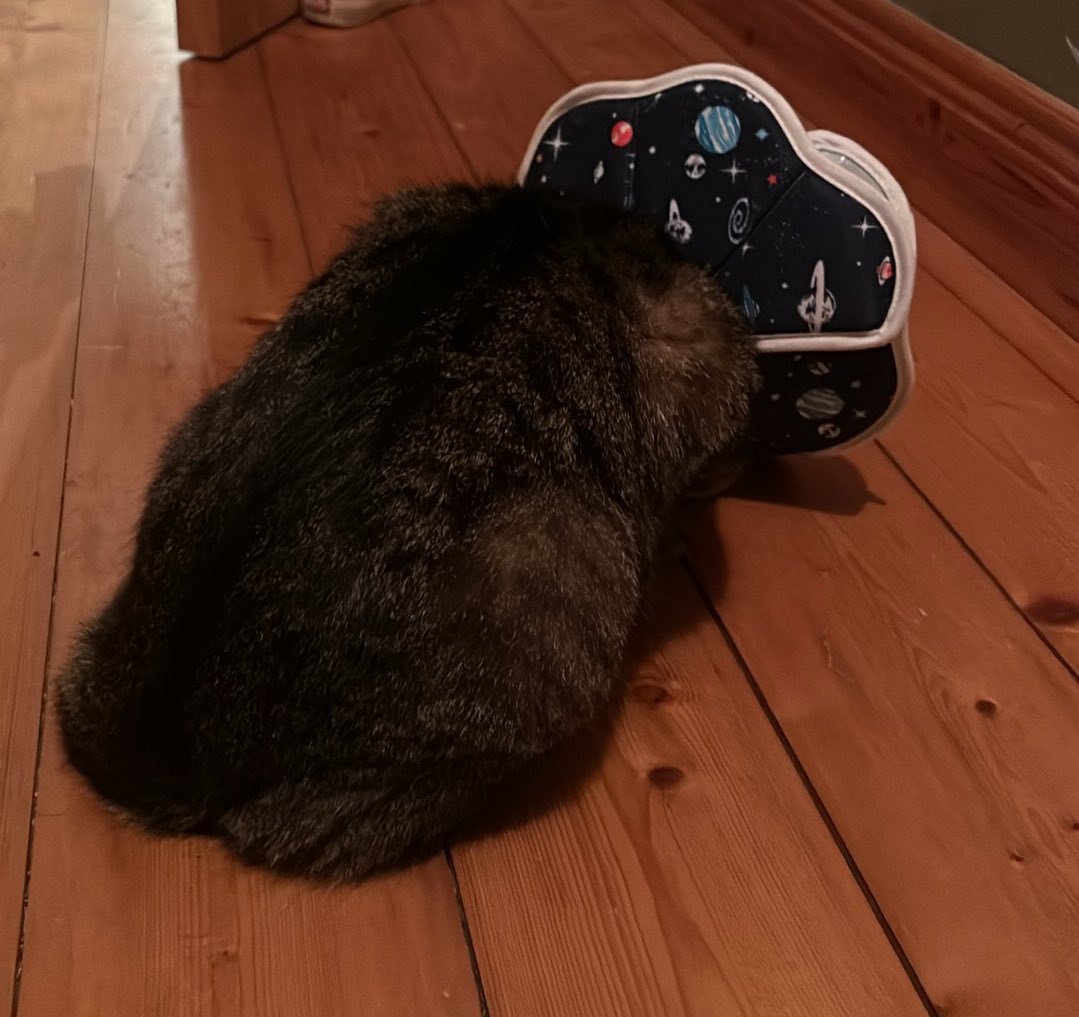 miss keisha 🇵🇸 tweet media