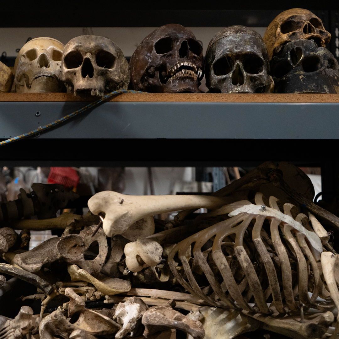 UniStudiosLot's tweet photo. Unleash the horror with frightening #props! From #creepydolls to #bloody body parts, Universal Prop Department has everything you need to create a #scary setting. Bring spine-tingling #props to your next production! πππ₯π»
#UniProps #PropRental #setdecoration https://t.co/Ls2hyEYFAZ