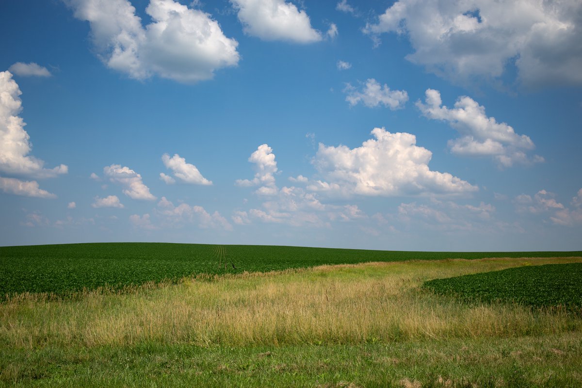 We have been OBSESSED with <a href="/RichSaal/">Rich Saal</a>'s farm photos lately! View stunning imagery, learn about farm culture, and hear stories at Soil &amp; Soul. Along with the opening of our physical exhibit on Thursday, the Sangamon Experience will be launching a website with even MORE content.