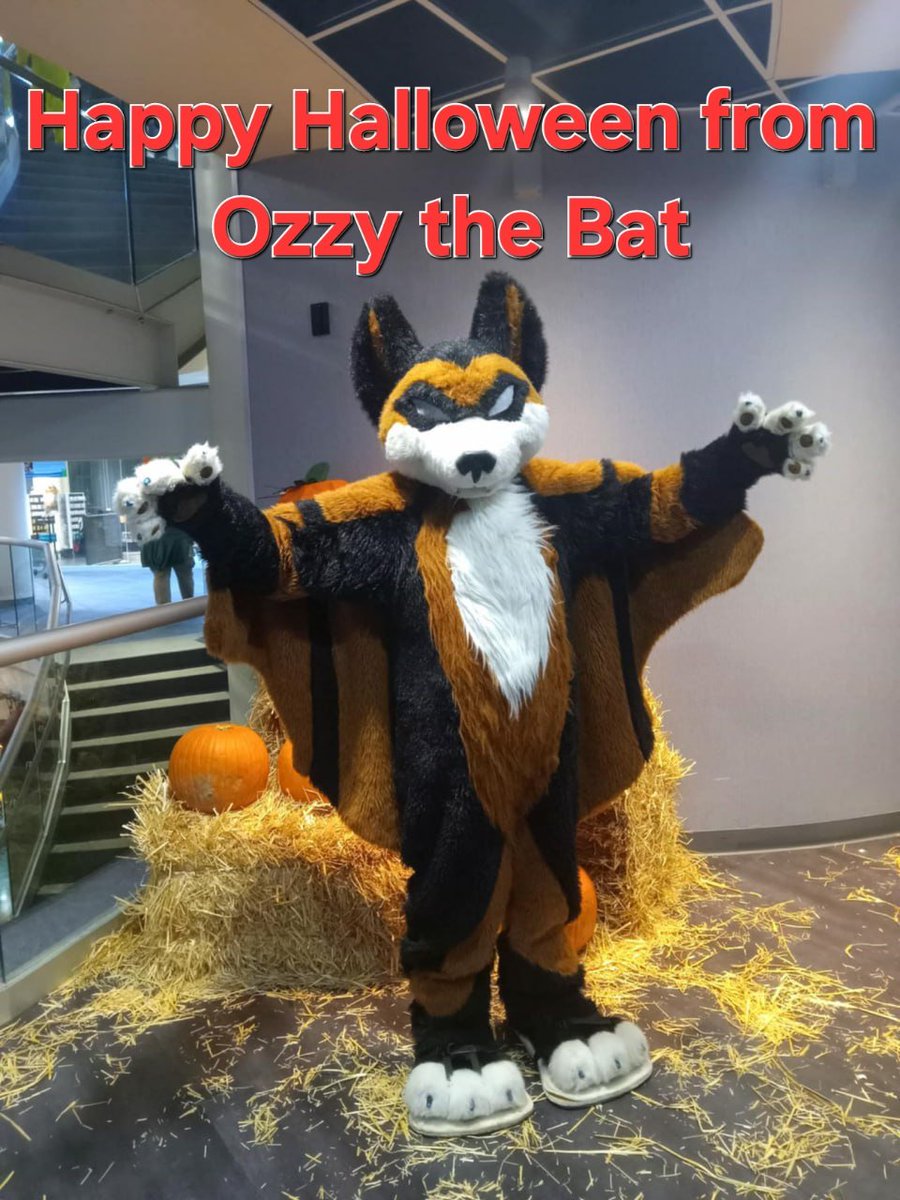 Ozzy, the Furloween Bat, wishes everyone a Happy Halloween on his 18th birthday. #furloween #Bat #Halloween #Fursuit #Furry