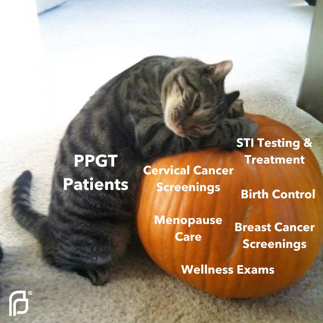 PPGreaterTX's tweet photo. 🧡 Happy Halloween to all who celebrate 🖤 Enjoy a meme, stay safe and care for your repro health by booking an appointment with us at https://t.co/rib0L8C9B6 🍂

#Halloween #October31 #Health #Healthcare https://t.co/YQPsZ5I0PA
