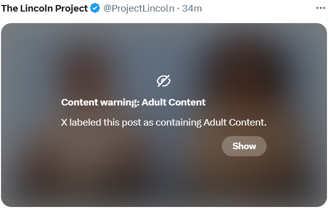 SuzySmart4's tweet photo. @ProjectLincoln Curious why the LP post was censored. https://t.co/nr0eL9RuwN