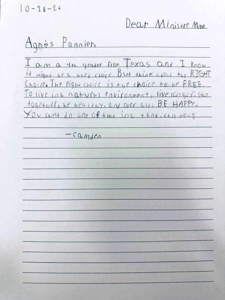 RFriend_Class's tweet image. Please read letters my students wrote to @AgnesRunacher, French Minister of Ecological Transition, to help Wikie and Keijo, the last captive orcas in France be moved to @Whale_Sanctuary instead of Kobe Suma SeaWorld in Japan. @CamilleBrunel @bayviewglenps1