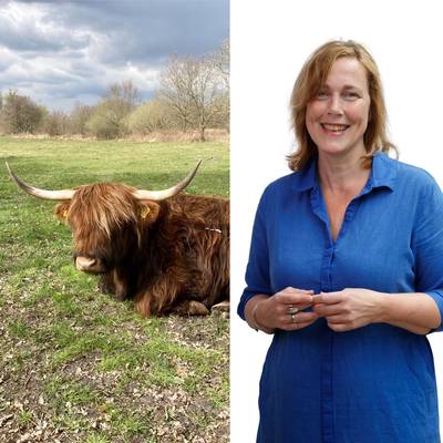 Eng rund in Brabants bos? Dat liep best wel los! dlvr.it/TFwyGS