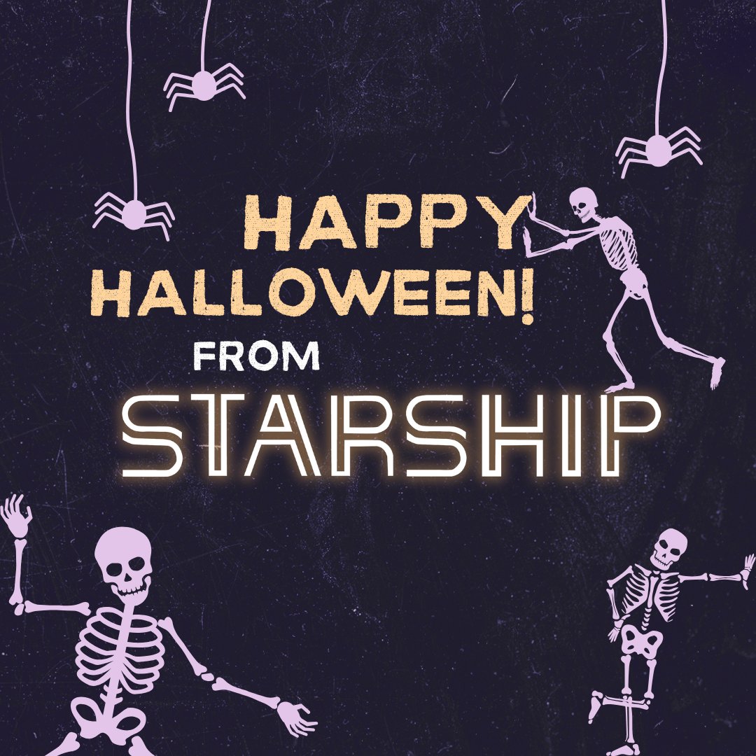 Starship tweet media