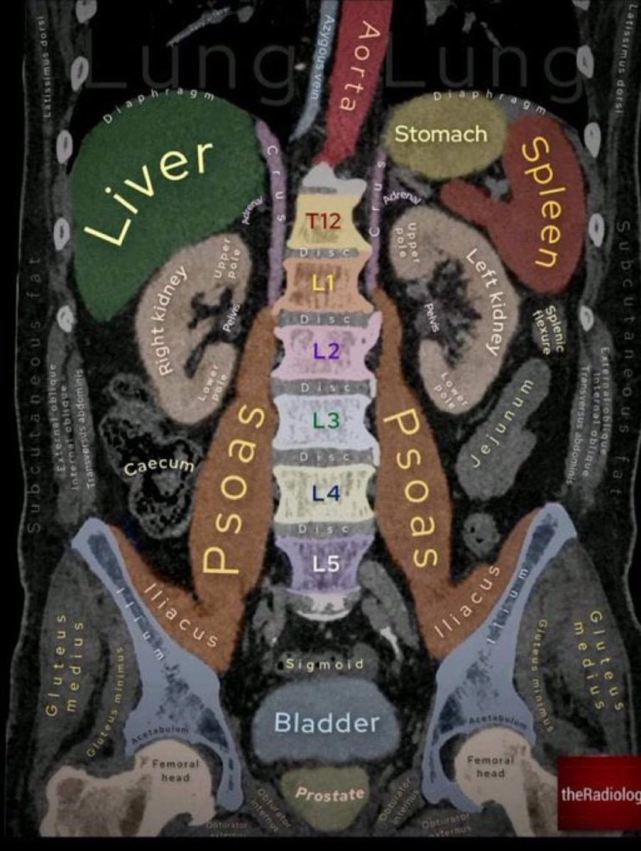 Dr Honey choudhary 🩺 (@doctors__squad) on Twitter photo 