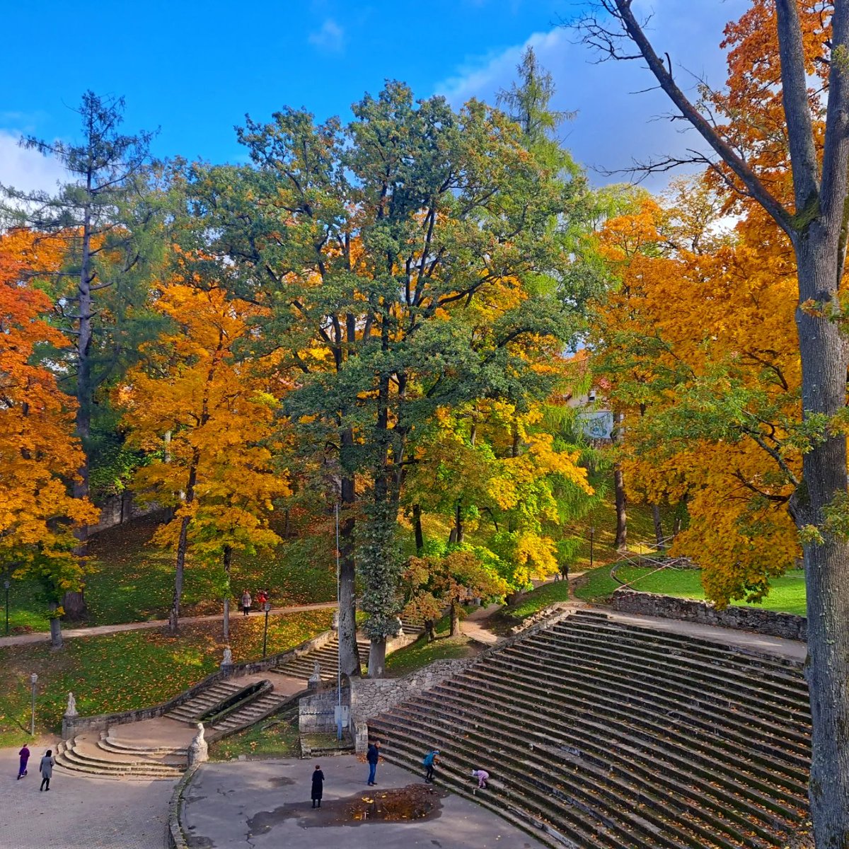 SkyX_SMU's tweet photo. Skaistais Cēsu rudens skats no mūsu paštaisītā drona skatpunkta! #smu #cēsis #cesis #autumnphotography https://t.co/9zeILH0PpG