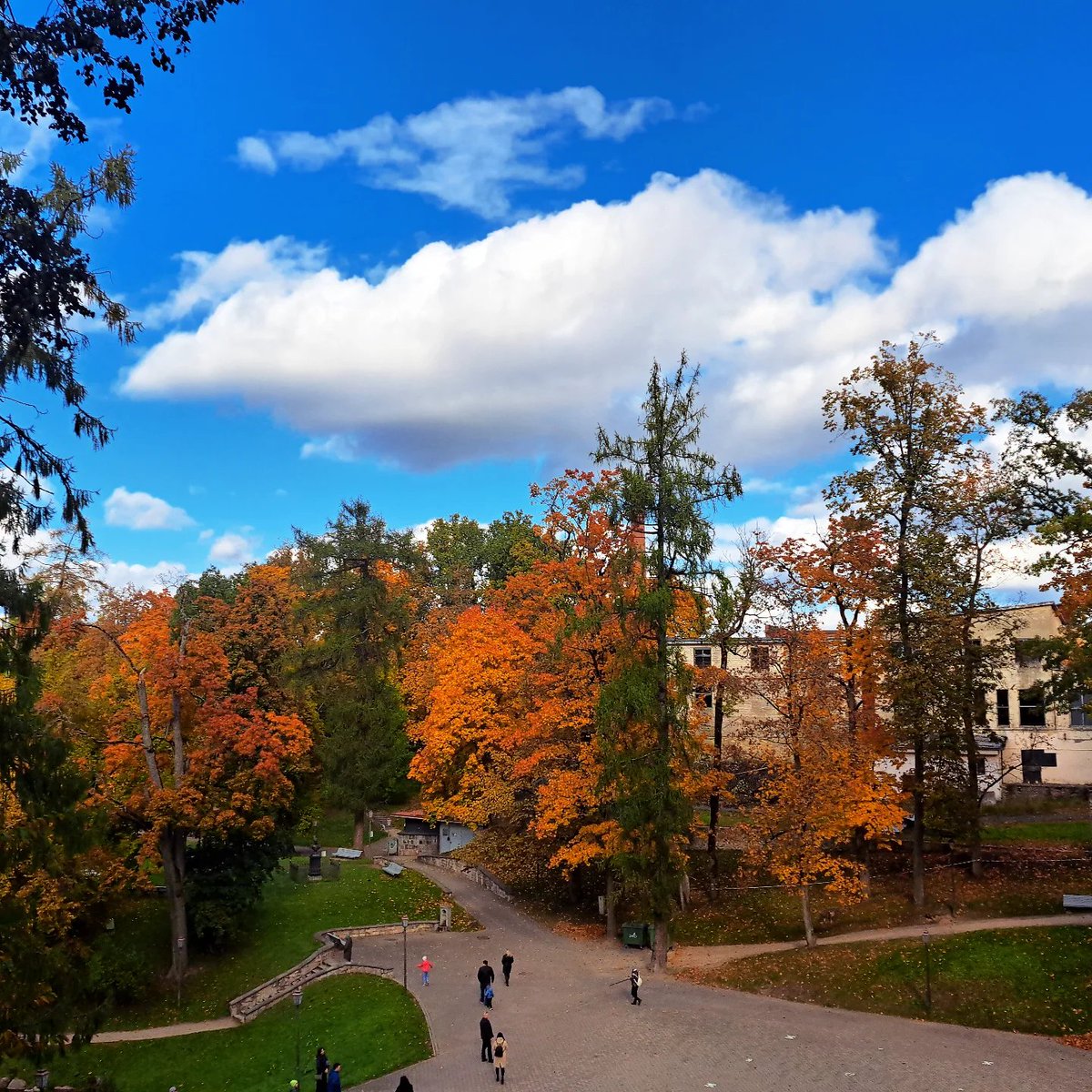 SkyX_SMU's tweet photo. Skaistais Cēsu rudens skats no mūsu paštaisītā drona skatpunkta! #smu #cēsis #cesis #autumnphotography https://t.co/9zeILH0PpG