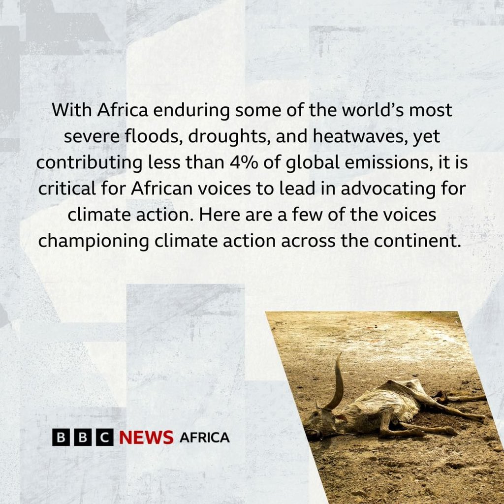 lizwathuti's tweet photo. #Repost @BBCAfrica🌍 It is World Cities Day 2024, and this time the UN is highlighting the need to address rising climate challenges as cities are projected to host 70% of the global population by 2050. 

To mark this day, here's a list of African voices advocating for climate action across the continent.

#WorldCitiesDay #UN