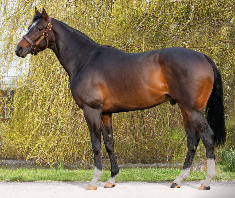✨ New winner for <a href="/Tweenhills/">Tweenhills</a>' first-crop sire KAMEKO (pic) ✨

🥇 APPLE'S ANGEL wins at <a href="/ChelmsfordCRC/">Chelmsford City Racecourse</a> for trainer <a href="/SimonDowRacing/">Simon Dow</a>. The 2YO filly is a <a href="/Goffs1866/">Goffs</a> &amp; <a href="/tatts_online/">Tattersalls Online</a> grad and was most recently purchased by owner Jimmy Chua from <a href="/lewinstown/">Ken</a> for 26,000gns.