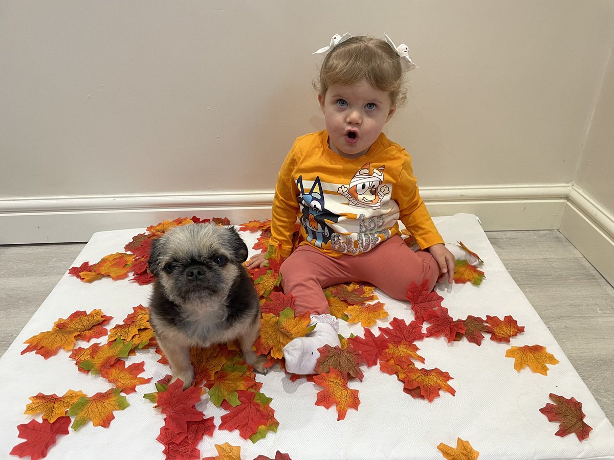 PugglePooh's tweet photo. Fun with leafs 🍁 xxxx https://t.co/BcvdXlL41l