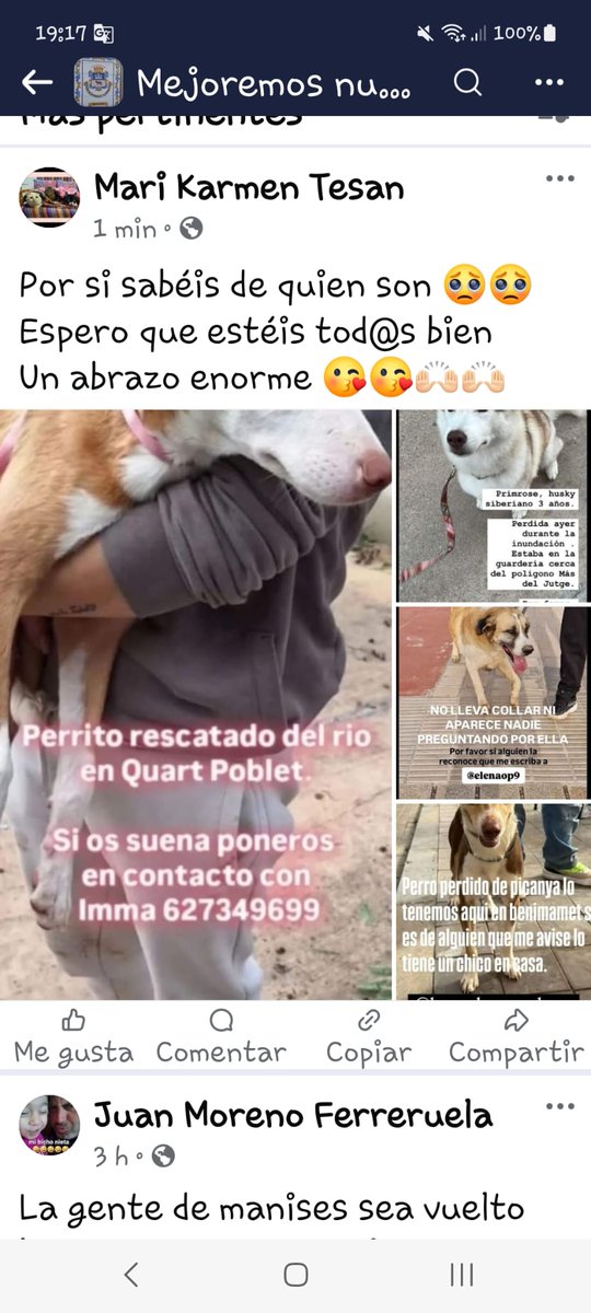 SOS Salvando Vidas España. tweet media