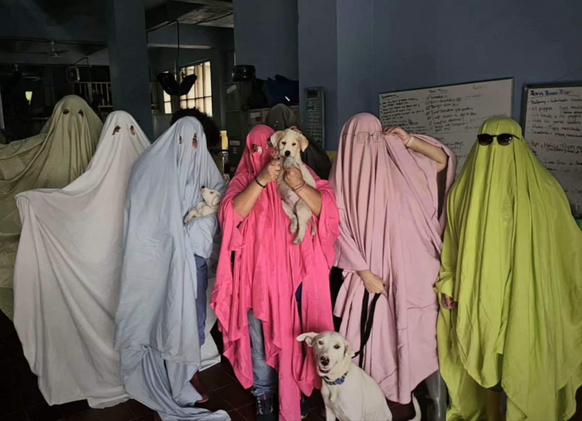 ¡BUSCAMOS CAZAFANTASMAS!

El corillo de fantasmas llegó temprano al #Sasfapr y no se quiere ir.

Parece que quedaron hechizados con los ladridos y ronroneos de nuestros peludos, y han pasado el día repartiendo besos y sobitos de panza.