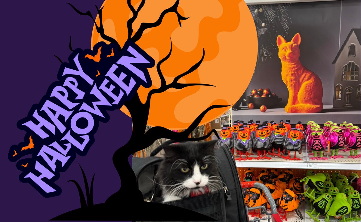 CelebuCat's tweet photo. #HappyHalloween https://t.co/Yl6olcPSM4