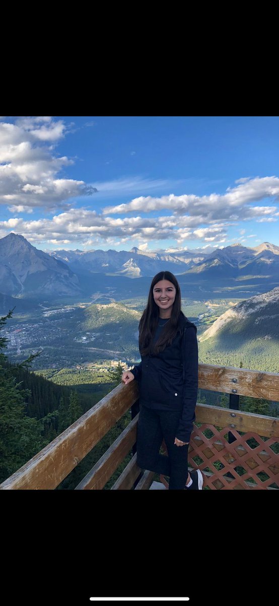 Pa Sheehan tweet media