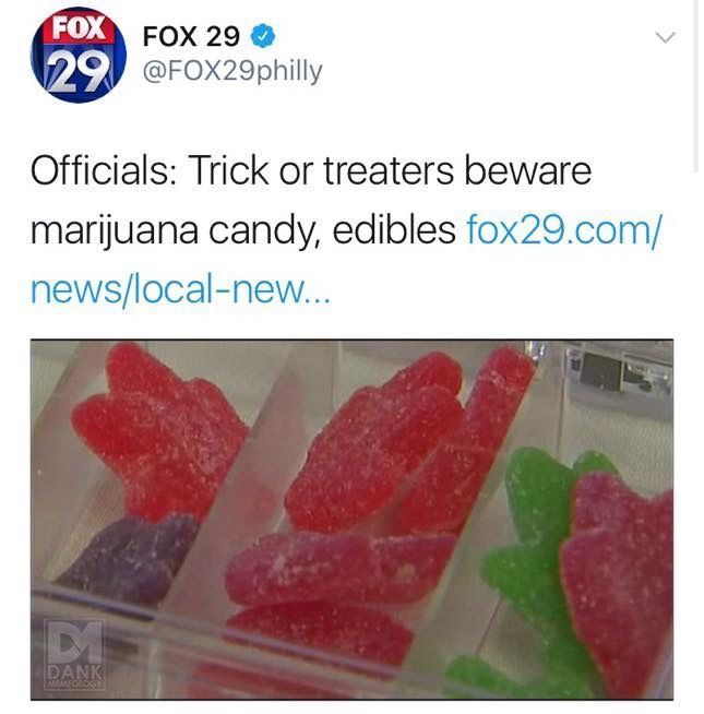 Weed Porn tweet media