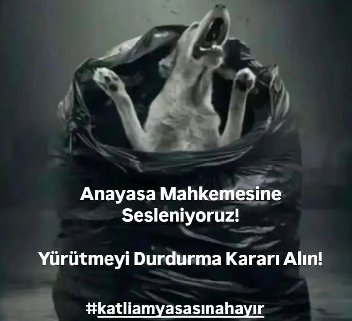 Geç gelen adalet , adalet değildir 

<a href="/AYMBASKANLIGI/">Anayasa Mahkemesi</a>