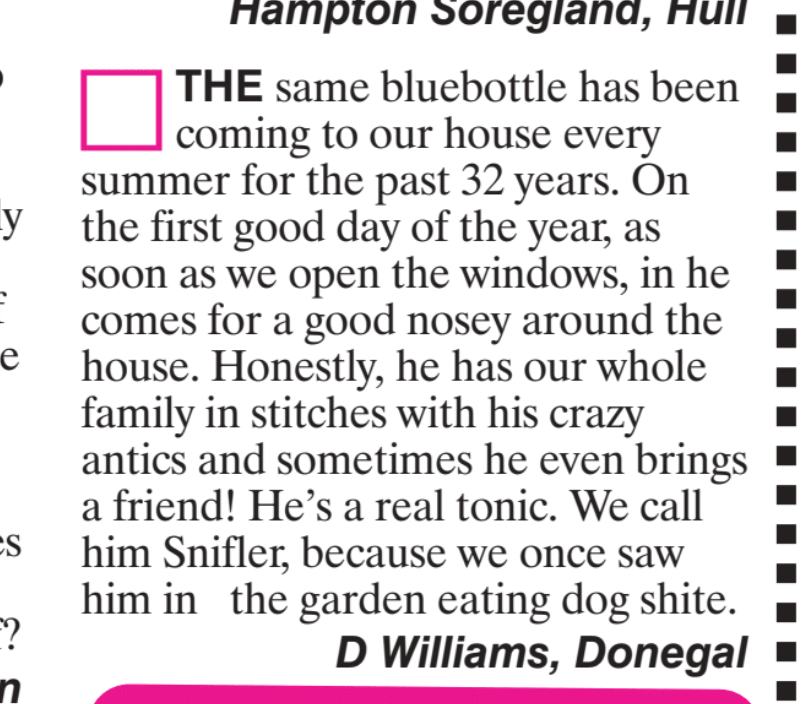 vizcomic's tweet photo. subscriptions >>> https://t.co/35D27IBRQH https://t.co/QPHWE0fZbD
