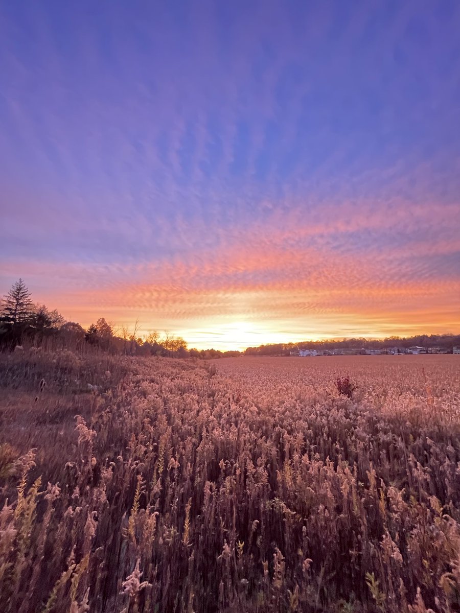 Seth Bordenstein tweet media