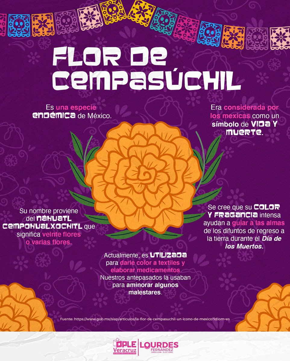 📢¡Descubre el significado detrás de la flor de cempasúchil en el Día de Muertos!

Esta hermosa flor es más que un adorno, su color y aroma guían a las almas para que visiten nuestras ofrendas.

¡Conoce más curiosidades sobre esta emblemática flor!🧡✨
