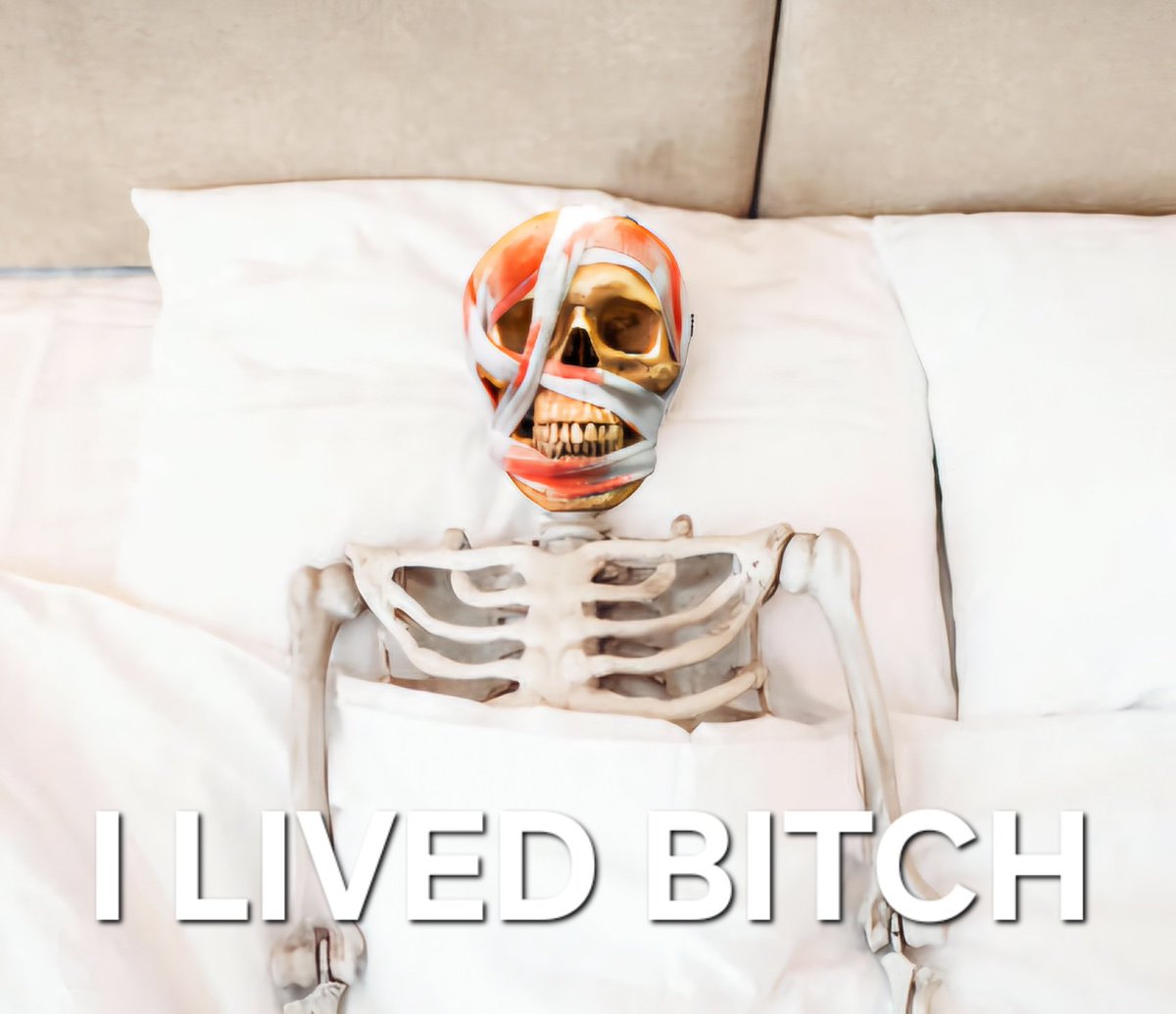 JUST LEAVE (A COMMENT) FEST tweet media