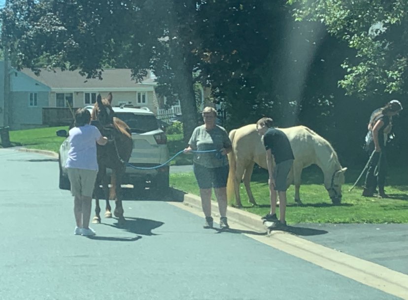 CKHall 👨🏼‍🏫👨🏼‍🔬⚛️🌍(🇨🇦/🏴󠁧󠁢󠁳󠁣󠁴󠁿🇮🇪) tweet media