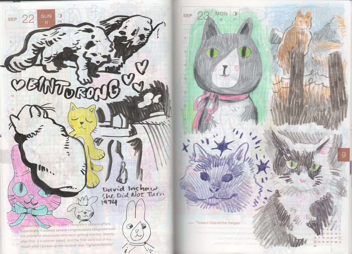 October 2024 on patreon.com/lauraknetzger