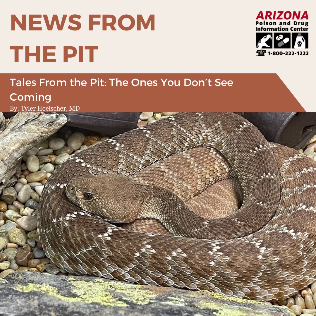 Happy Halloween! 🎃 Our treat to you is a special edition of News From The Pit documenting some of our most interesting snakebite cases resulting from people encountering rattlesnakes in unexpected places. azpoison.com/sites/default/…

#tox #MedTwitter #rattlesnakes #snakebite #venom