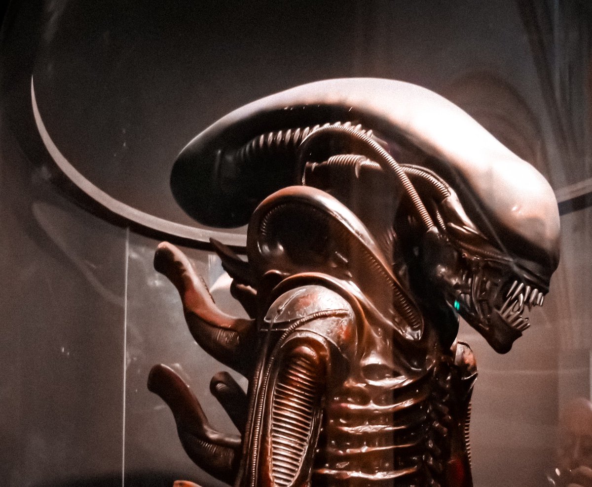 Armel Drane tweet media