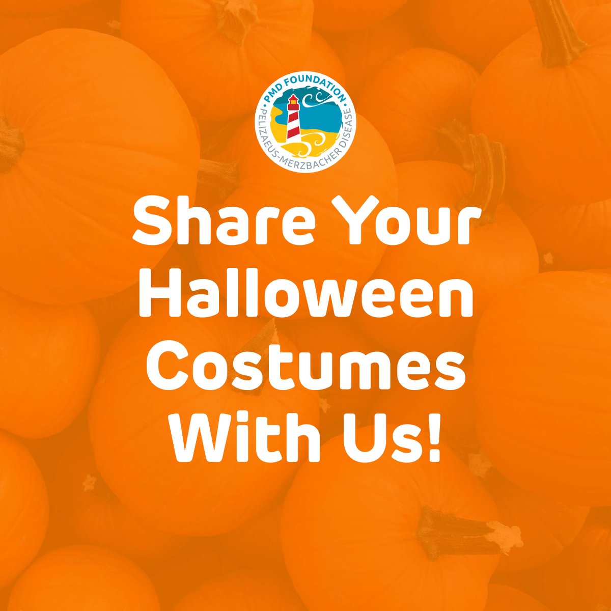 _pmdfoundation's tweet photo. Lions, tigers, and bears, oh my! None are as adorable as our PMD Warriors dressed up for trick-or-treating. 🎃

Share a photo of your PMD Warrior in the comments so we can all spread some smiles! https://t.co/hthbC0s6Dl