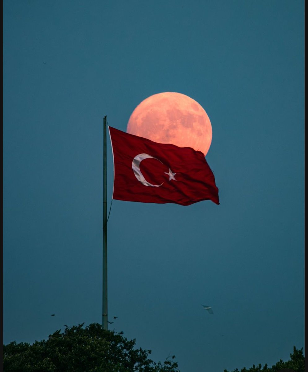 Türkiye Cumhuriyeti vatandaşlarının yalnızca bir bayrağı vardır; o da Türk bayrağıdır. <a href="/eczozgurozel/">Özgür Özel</a>