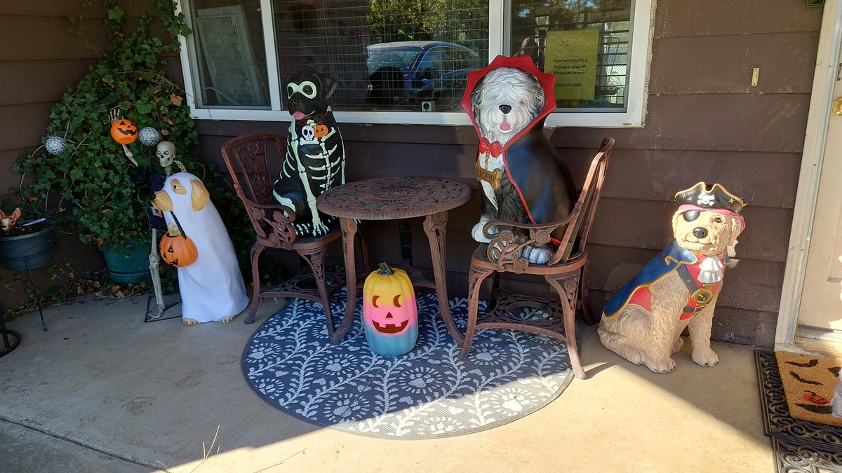 At my dog trainer's home.