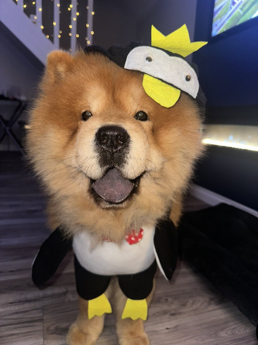 Miss Br⌬wn ⚛️ tweet media