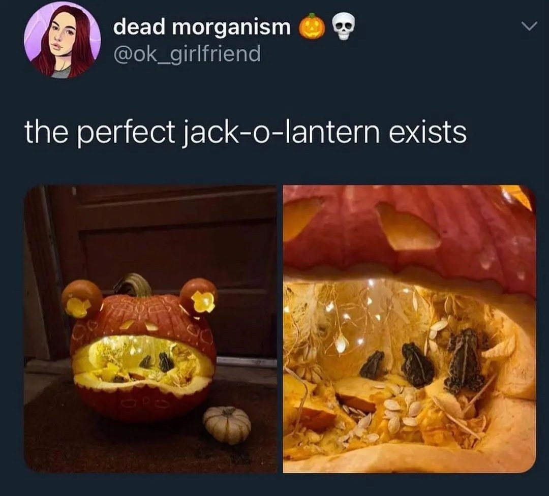 No Context Frogs tweet media