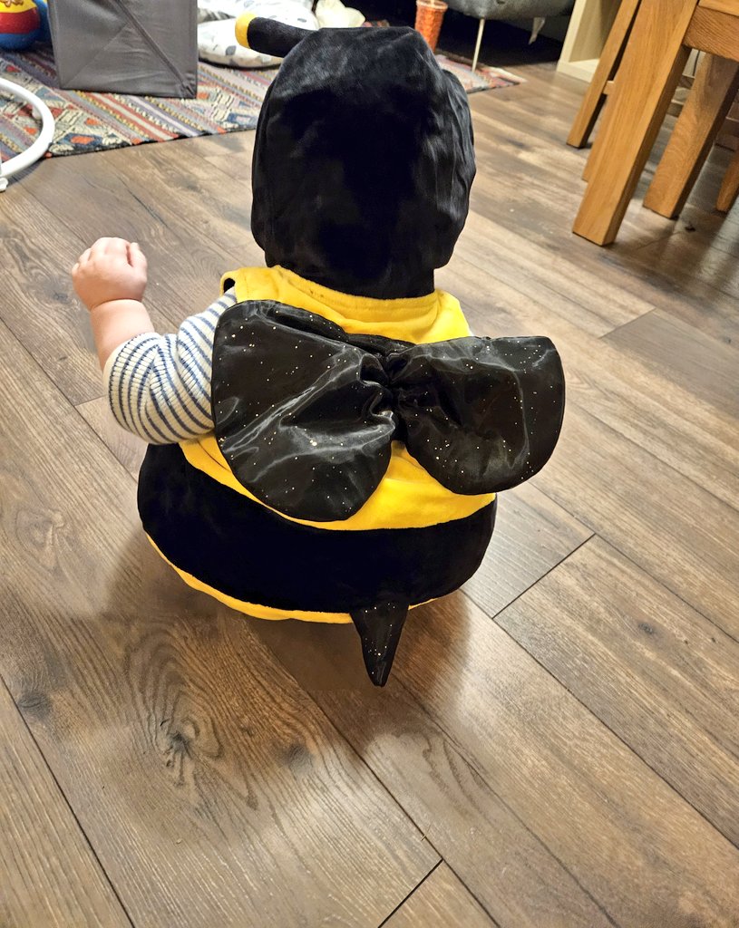 Jean O'Dwyer (@drjeanodwyer) on Twitter photo Our little one representing the School of BEES tonight 😄 <a href="/uccBEES/">Biological, Earth & Environmental Sciences, UCC</a>
Happy Halloween 🎃 👻 Our little one representing the School of BEES tonight 😄 <a href="/uccBEES/">Biological, Earth & Environmental Sciences, UCC</a>
Happy Halloween 🎃 👻