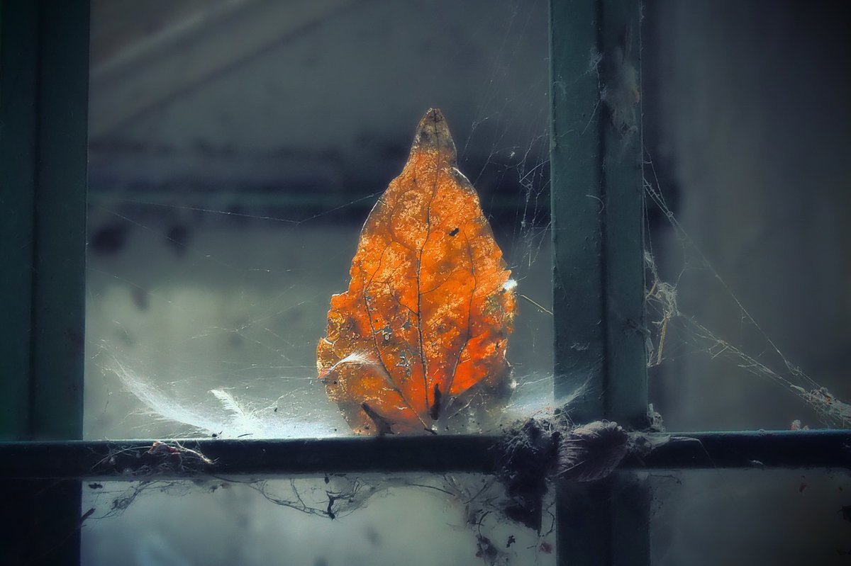 Massimo Di Stefano
And the rest is only love
linktr.ee/radmax#contemp… #artsy #artwork #paintings #drawing #illustration #modernart #artoftheday #painting #creative #abstract #art #contemporaryart #instaartist #photography