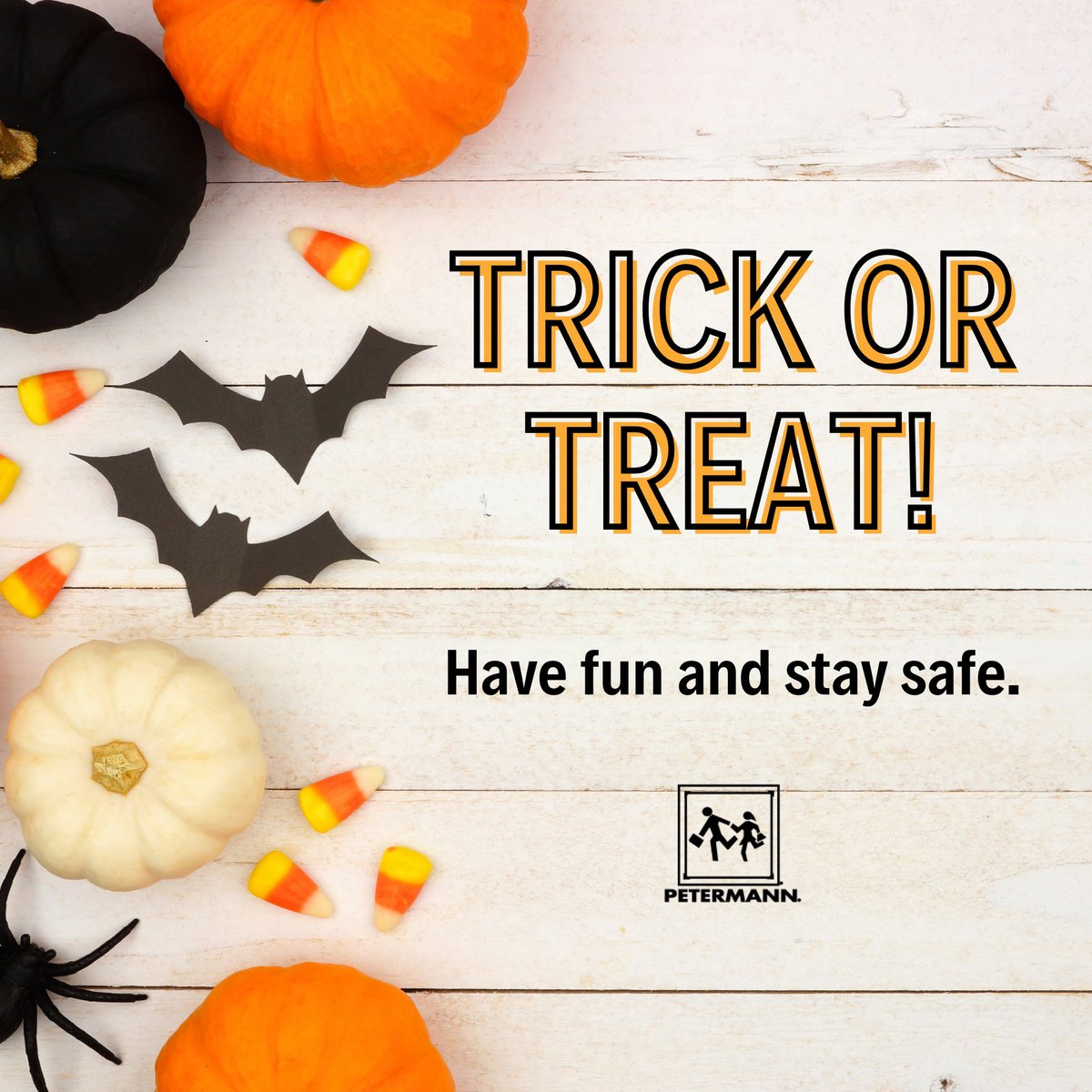 Petermann Bus tweet media