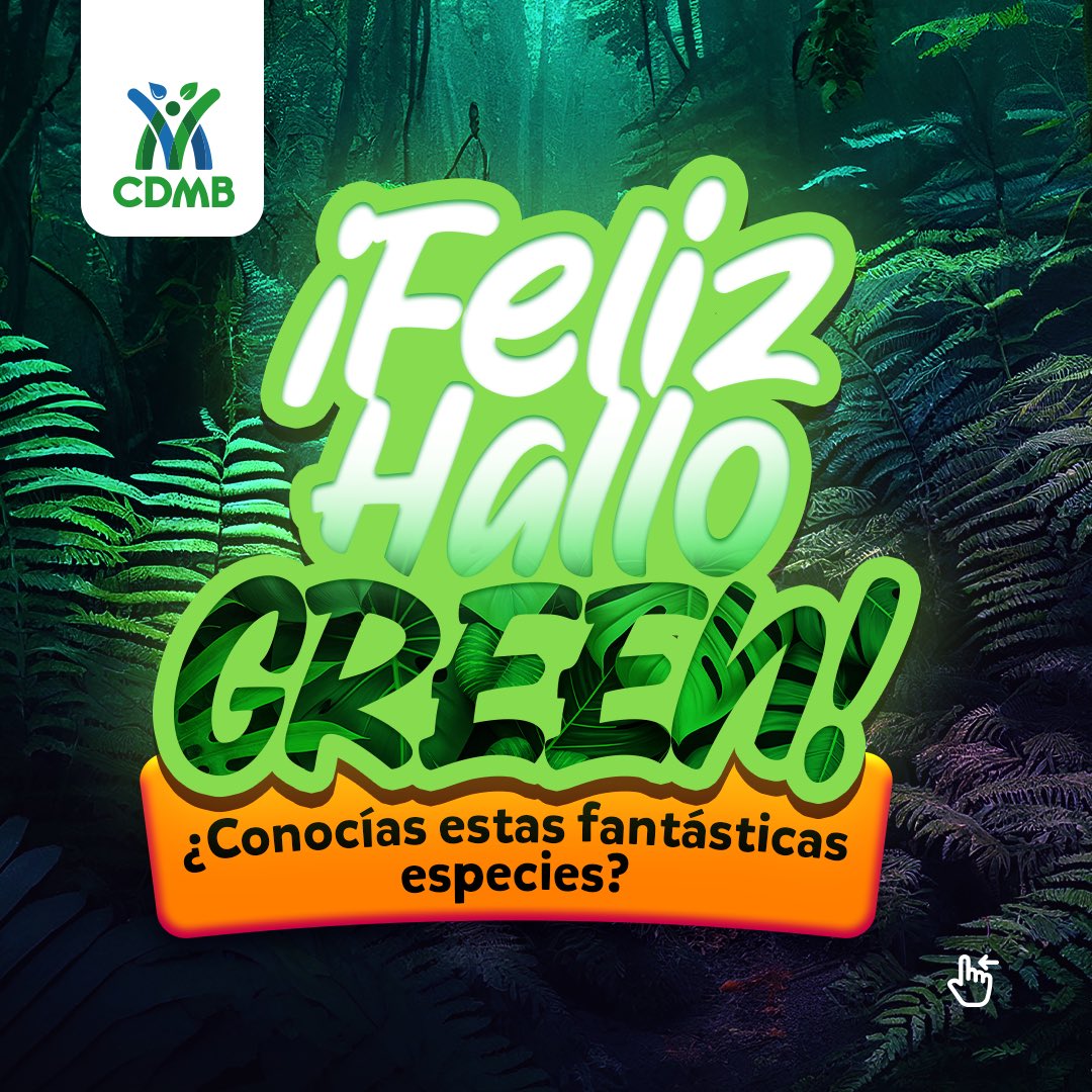CARCDMB's tweet photo. 😃💚 ¡Feliz #HalloGreen! 🐸🌱🐢🌳 La naturaleza está llena de mágia y especies fantásticas.
🪷🦜Cada una de ellas cumple una función crucial en el equilibrio del planeta. Son un conjunto que actúa en forma de red para garantizar que todo funione y que la vida exista.
🧵👇 https://t.co/oh75bp5WrQ