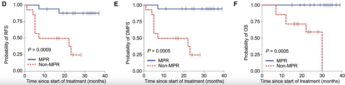(2/5) We explored neoadj vidu+anti-PD-1 (nivo) in a CMPI/REGN-sponsored ISR in high-risk resectable mel. Neoadj CpG/PD-1 resulted in high rates of major pathologic response (MPR 55%) with improved 1-/2- year RFS (94%/88%), DMFS (94%/94%) and OS (100%/100%) in MPRs.
