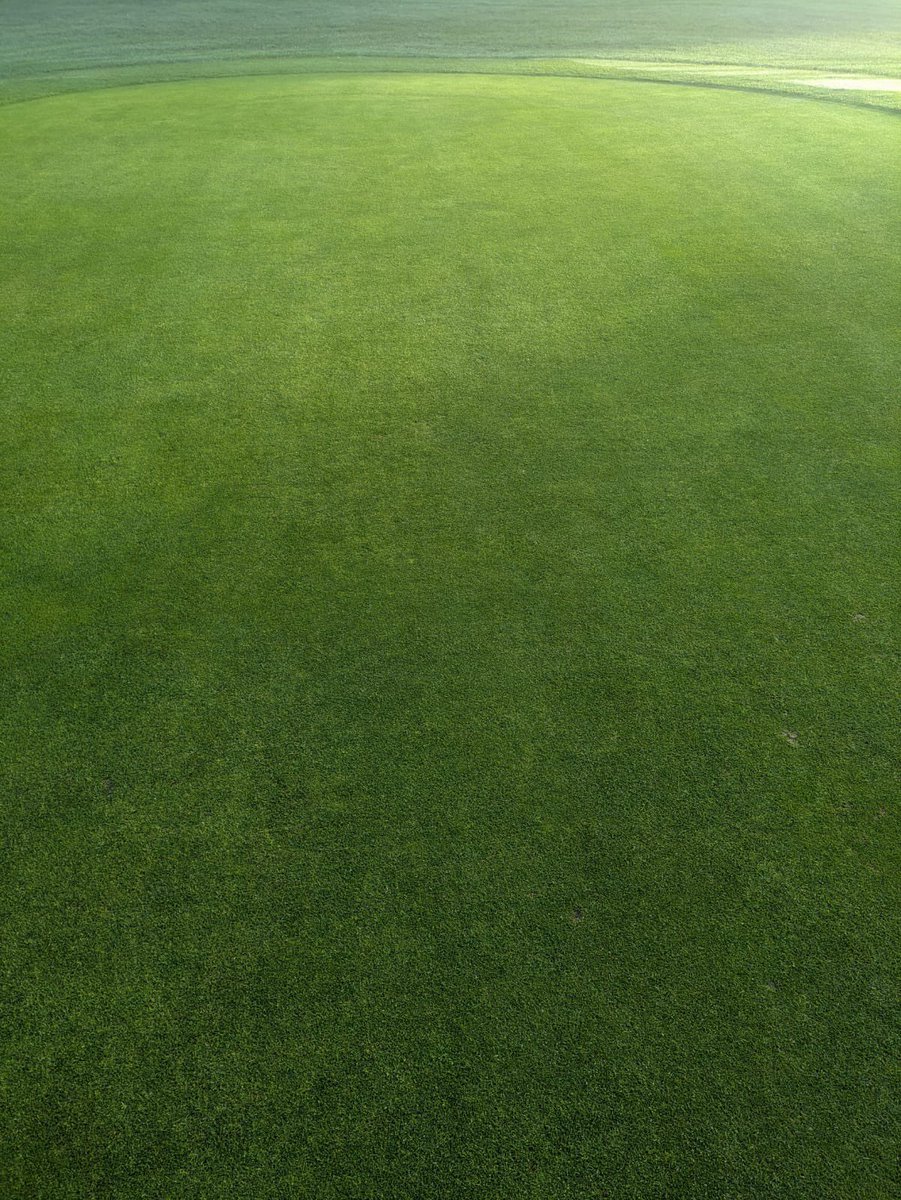 Greens are looking healthy heading into November.
Really pleased to see them nice and full, and playing well after the recent weather conditions! 
Team effort of plenty!! 👏