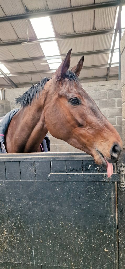 Stephen R Power (@racingblogger) on Twitter photo ๐ท IF SAM EWING Rides A Treble on FIREFOX, BRIGHTERDAYSAHEAD & THE YELLOW CLAY for Gordon Elliott tomorrow: ๐
I'll give ยฃ250 Cash to One of YOU Lucky People! ๐ฅ ๐ท
To Enter: ๐
1๏ธโฃ RT This Tweet
2๏ธโฃ Like This Tweet
3๏ธโฃ Follow <a href="/racingblogger/">Stephen R Power</a>
GOOD LUCK EVERYONE! ๐
#DownRoyal ๐ท IF SAM EWING Rides A Treble on FIREFOX, BRIGHTERDAYSAHEAD & THE YELLOW CLAY for Gordon Elliott tomorrow: ๐
I'll give ยฃ250 Cash to One of YOU Lucky People! ๐ฅ ๐ท
To Enter: ๐
1๏ธโฃ RT This Tweet
2๏ธโฃ Like This Tweet
3๏ธโฃ Follow <a href="/racingblogger/">Stephen R Power</a>
GOOD LUCK EVERYONE! ๐
#DownRoyal