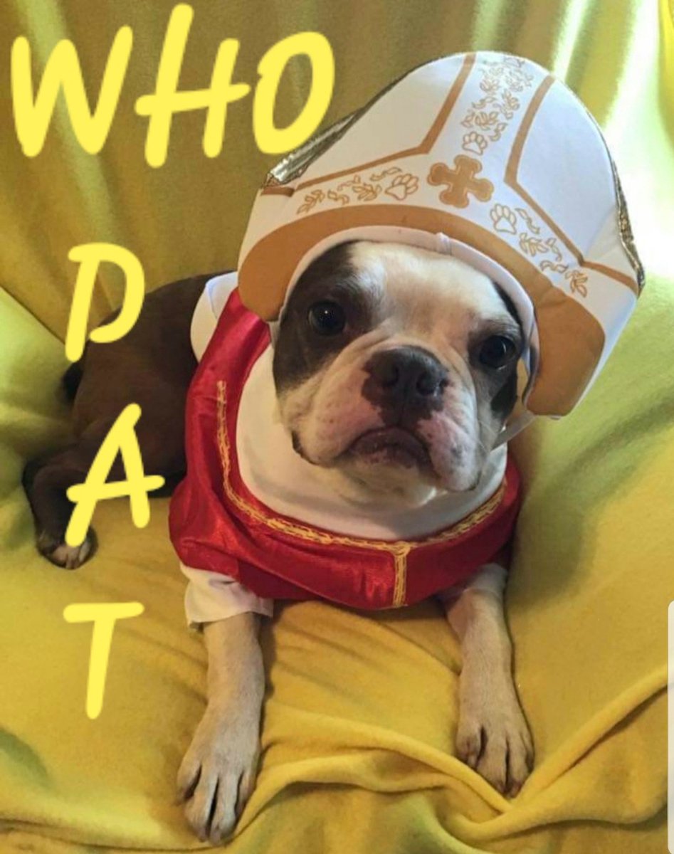 TwinkleNettie's tweet photo. @dog_rates Ozzie wishes everyone a safe & fun Halloween💜⚜️🎃#WhoDatNation
#HappyHalloween
#FireDA https://t.co/1I3K4S6pcj