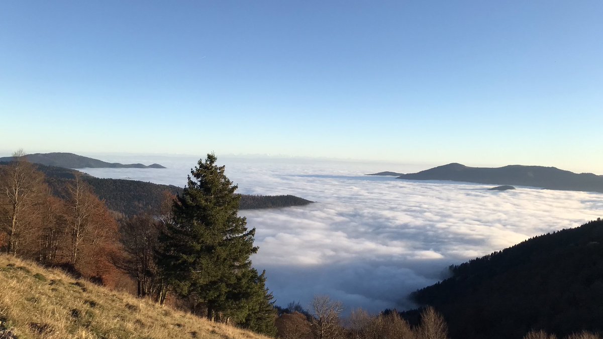 Real_Virtuelle's tweet photo. Les Vosges. 😎 Et, au loin, les Alpes

#MerDeNuages 💙🤍 https://t.co/iFsDweGfno