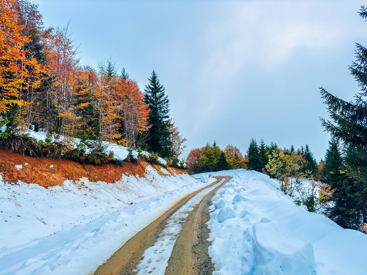 alikemalatik's tweet photo. Bugünden...Rize'nin İkizdere ilçesi Çağrankaya Yaylası yolu... https://t.co/wOyJtBhzP3