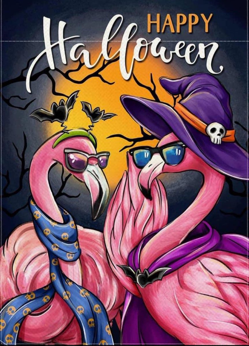 MsVeronicaB8's tweet photo. Happy Halloween! 🎃🧡👻

@OttCatholicSB @MmeMicheline @StMichaelOCSB https://t.co/tgLMJfNpyj