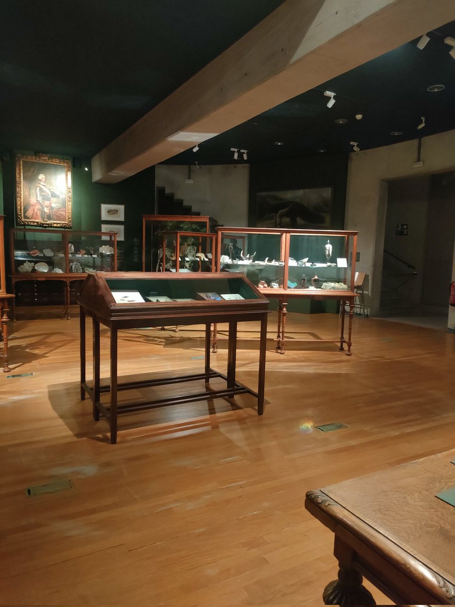 tgalgar's tweet photo. Las salas del @mncn_csic esperando a los visitantes de la primera #rutasingular de la temporada 'Criaturas, miedos y misterios'. 
Tenemos por delante una velada muy inquietante... https://t.co/mKvfgIOr8h